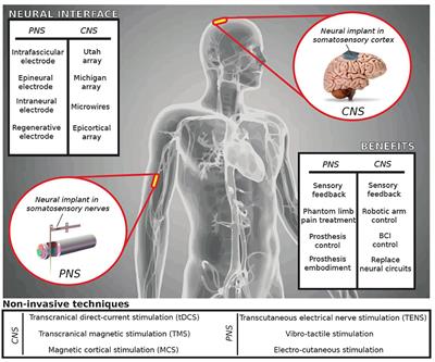 A Psychometric Platform to Collect Somatosensory Sensations for Neuroprosthetic Use